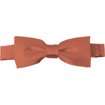 Palm Coast Coral Bow Tie Pre-tied Satin Boys Ties