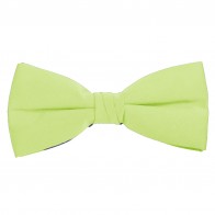 Pear Green Bow Tie Solid Pre-tied Satin Mens Ties