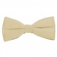 Champagne Bow Tie Solid Pre-tied Satin Mens Ties