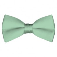 Solid Light Sage Bow Tie Pre-tied Satin Mens Ties
