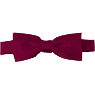 Raspberry Bow Tie Pre-tied Satin Boys Ties