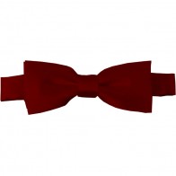 Burgundy Bow Tie Pre-tied Satin Boys Ties