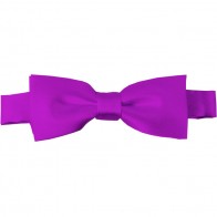 Violet Bow Tie Pre-tied Satin Boys Ties