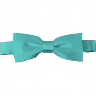 Aqua Green Bow Tie Pre-tied Satin Boys Ties