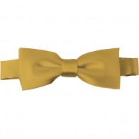 Honey Gold Bow Tie Pre-tied Satin Boys Ties
