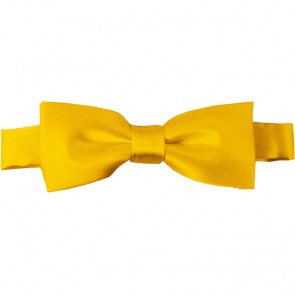 Golden Yellow Bow Tie Pre-tied Satin Boys Ties
