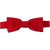 Red Bow Tie Pre-tied Satin Boys Ties