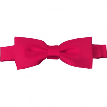 Fuchsia Bow Tie Pre-tied Satin Boys Ties