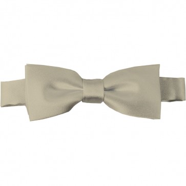Beige Bow Tie Pre-tied Satin Boys Ties