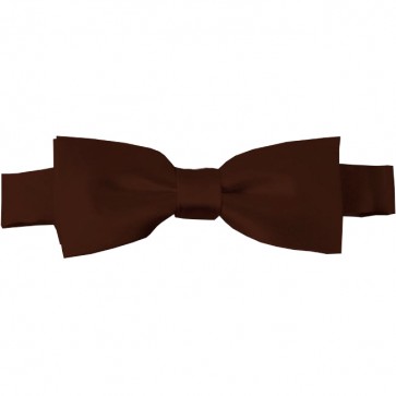 Brown Bow Tie Pre-tied Satin Boys Ties