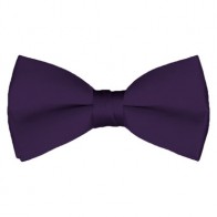Solid Eggplant Bow Tie Pre-tied Satin Mens Ties