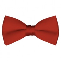 Solid Rust Bow Tie Pre-tied Satin Mens Ties