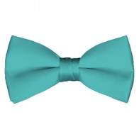 Solid Aqua Green Bow Tie Pre-tied Satin Mens Ties