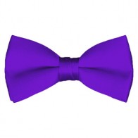 Solid Plum Violet Bow Tie Pre-tied Satin Mens Ties