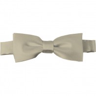Beige Bow Tie Pre-tied Satin Boys Ties