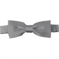 Silver Bow Tie Pre-tied Satin Boys Ties