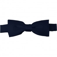 Navy Bow Tie Pre-tied Satin Boys Ties