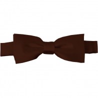 Brown Bow Tie Pre-tied Satin Boys Ties