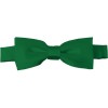 Kelly Green Bow Tie Pre-tied Satin Boys Ties
