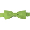 Pear Green Bow Tie Pre-tied Satin Boys Ties
